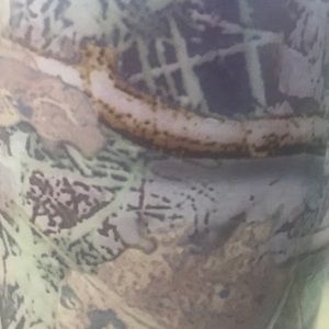 Meet your Posher, Chuck